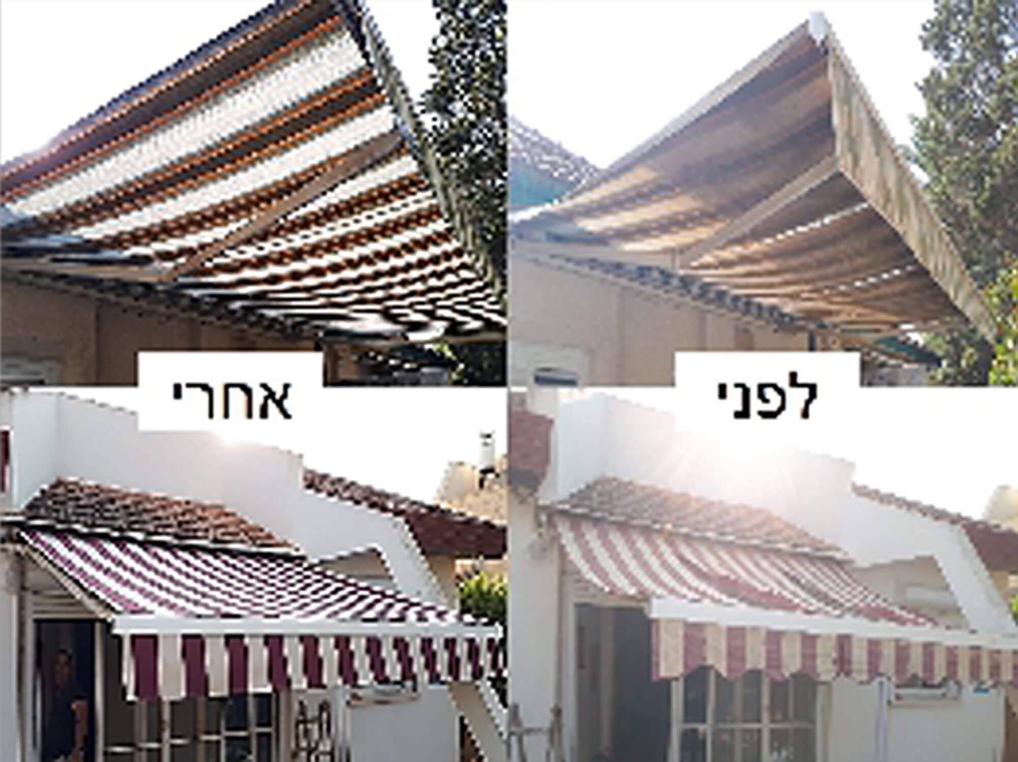פרגולות (1)